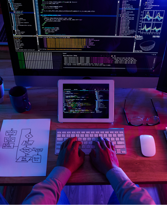 Web development illustration